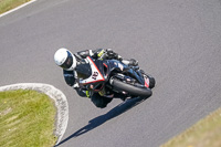 Middle Group Black Bikes